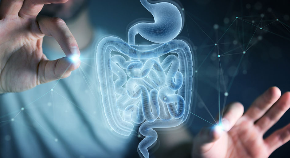x-ray of human intestine