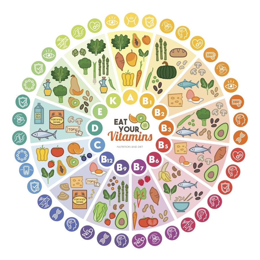 diagram of the sources of vitamins in food