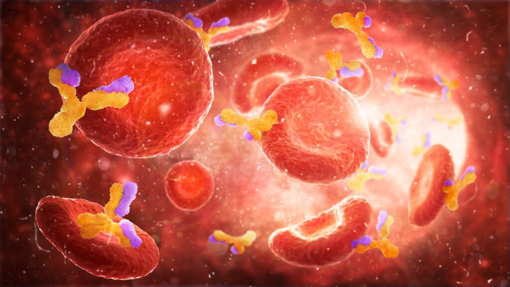 A diagram of the bloodstream with red cells and antigens