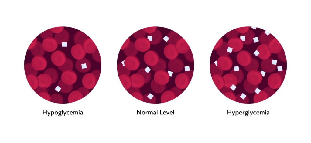 sugar levels in the blood