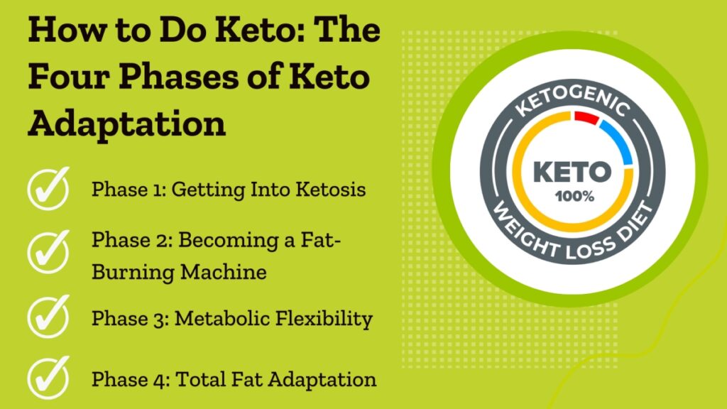 four phases of keto diet adaptation