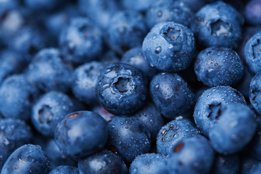 fresh blueberries