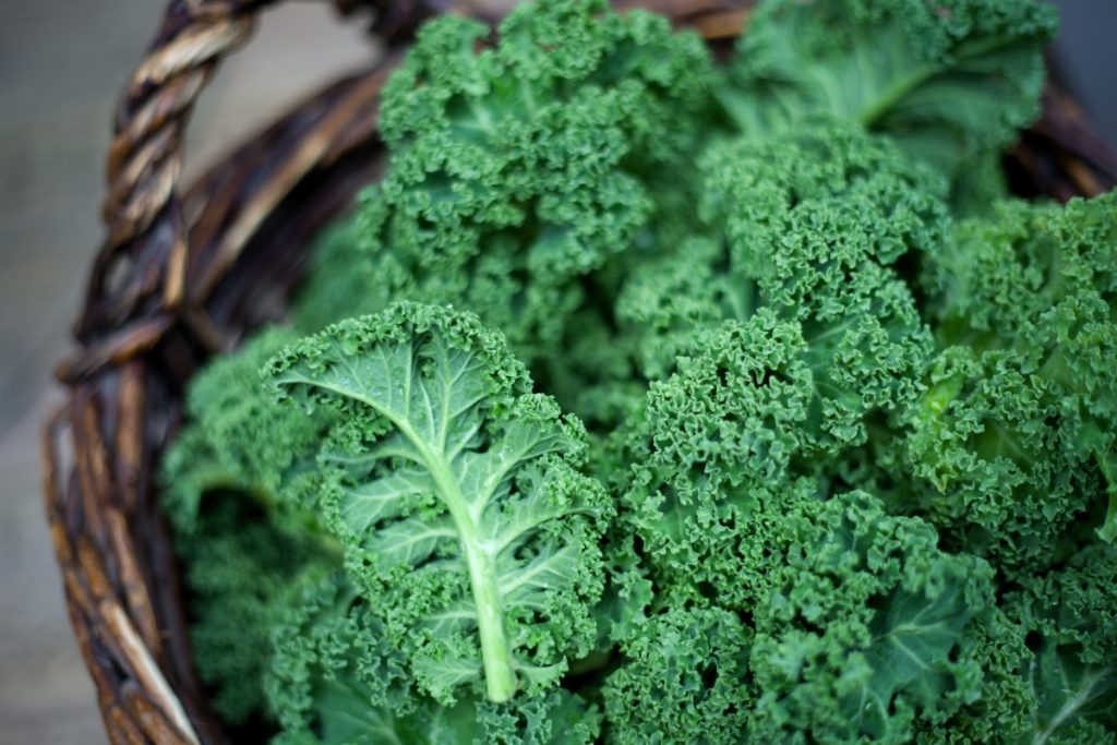 Kale Green cabbage in rustic basket