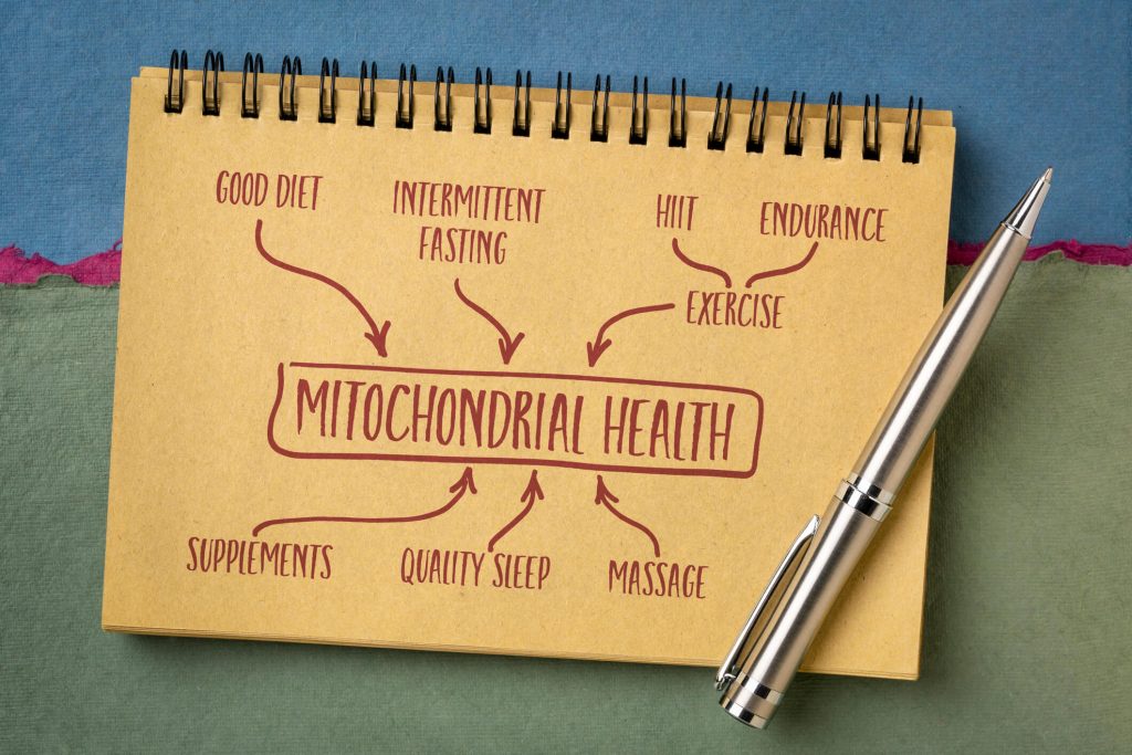 mitochondrial health concept - text and sketch in a notebook, healthy lifestyle and aging