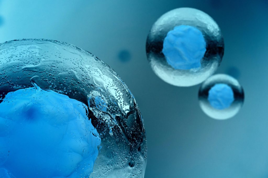 Detailed Image of Stem Cell