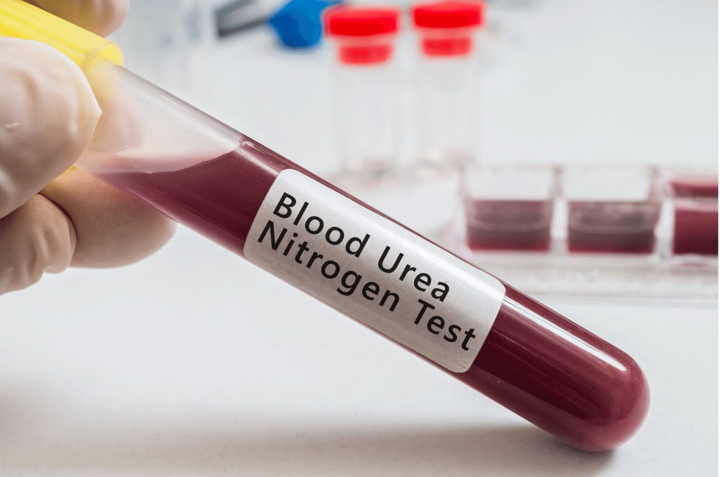 test tube blood urea nitrogen 