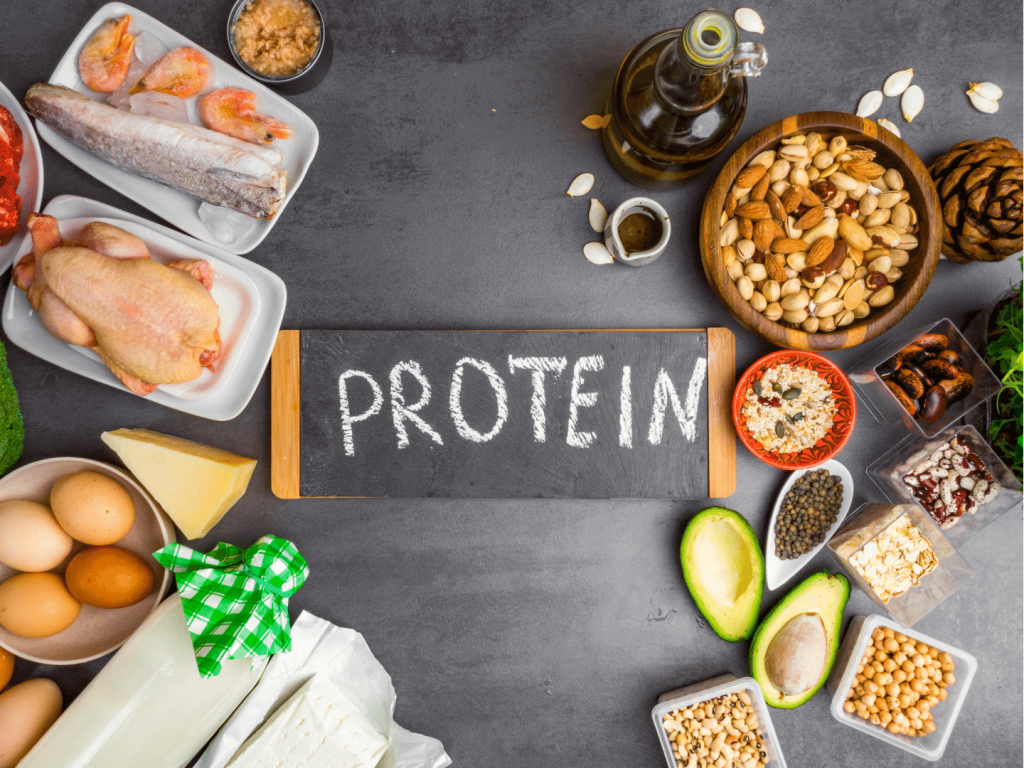 protein rich food