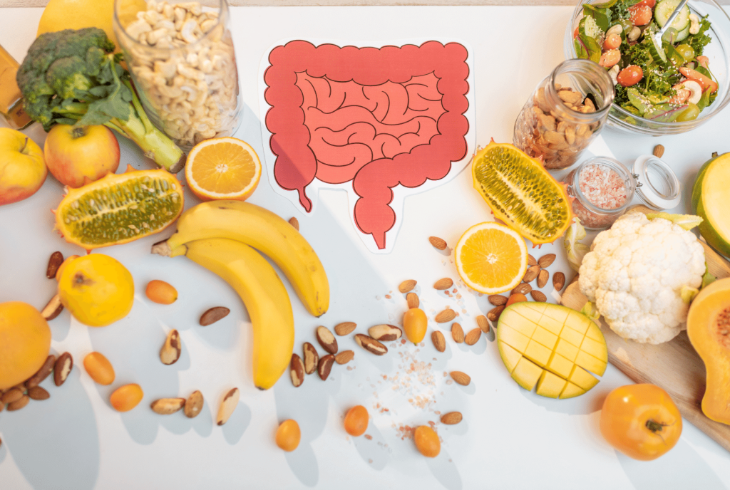 table full with fruits and a gut diagram