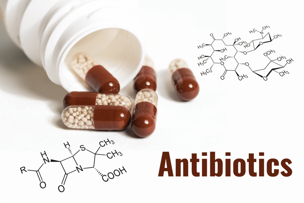 antibiotics formula 