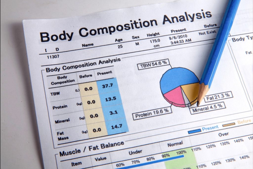body composition analysis sheet