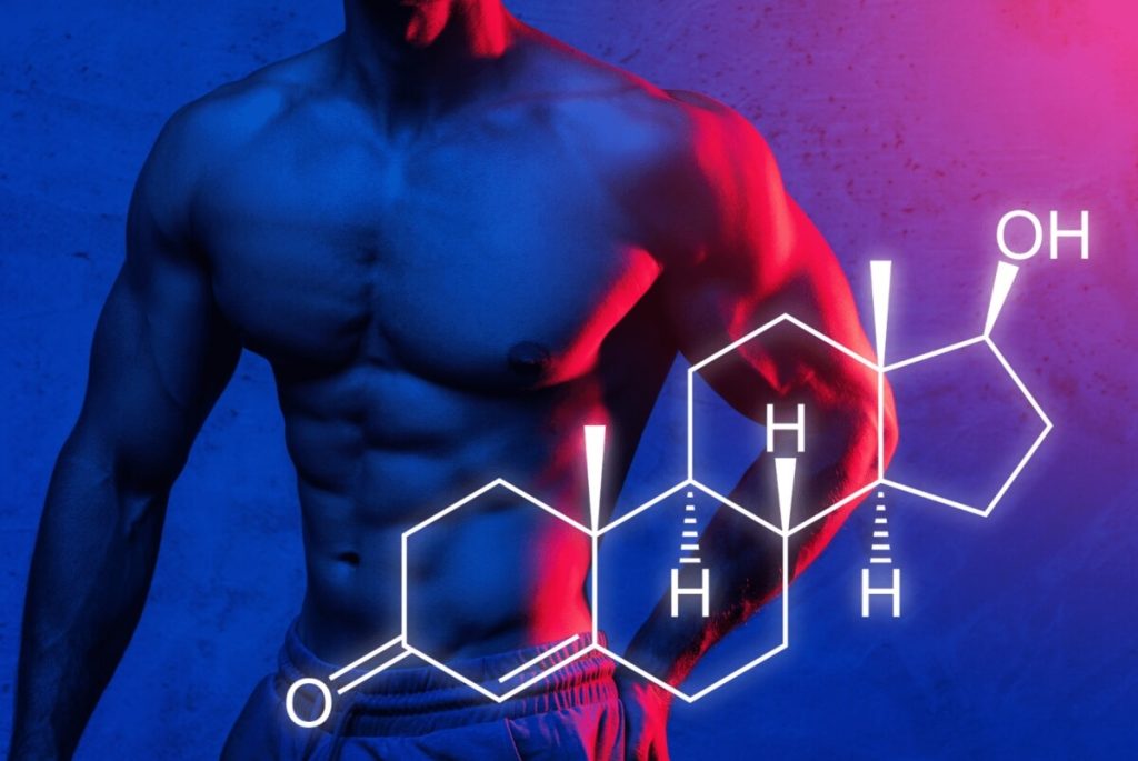 man torso and testosterone molecule