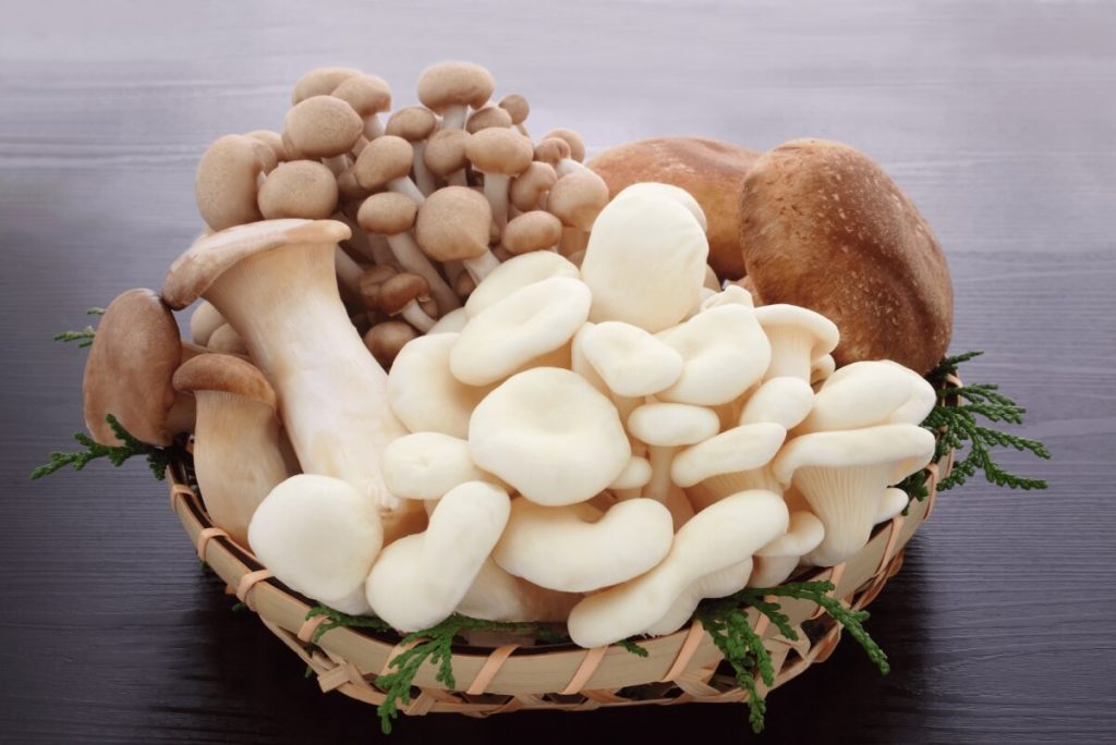 basket full of mushroom