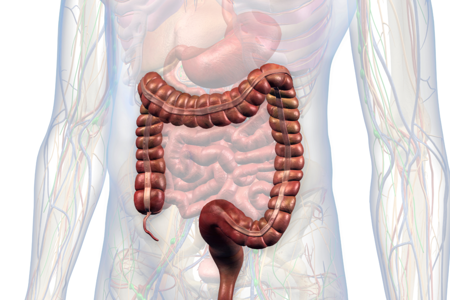 Large Intestine and Lung Meridians: What does it mean to wake up between 2 - 4 AM?