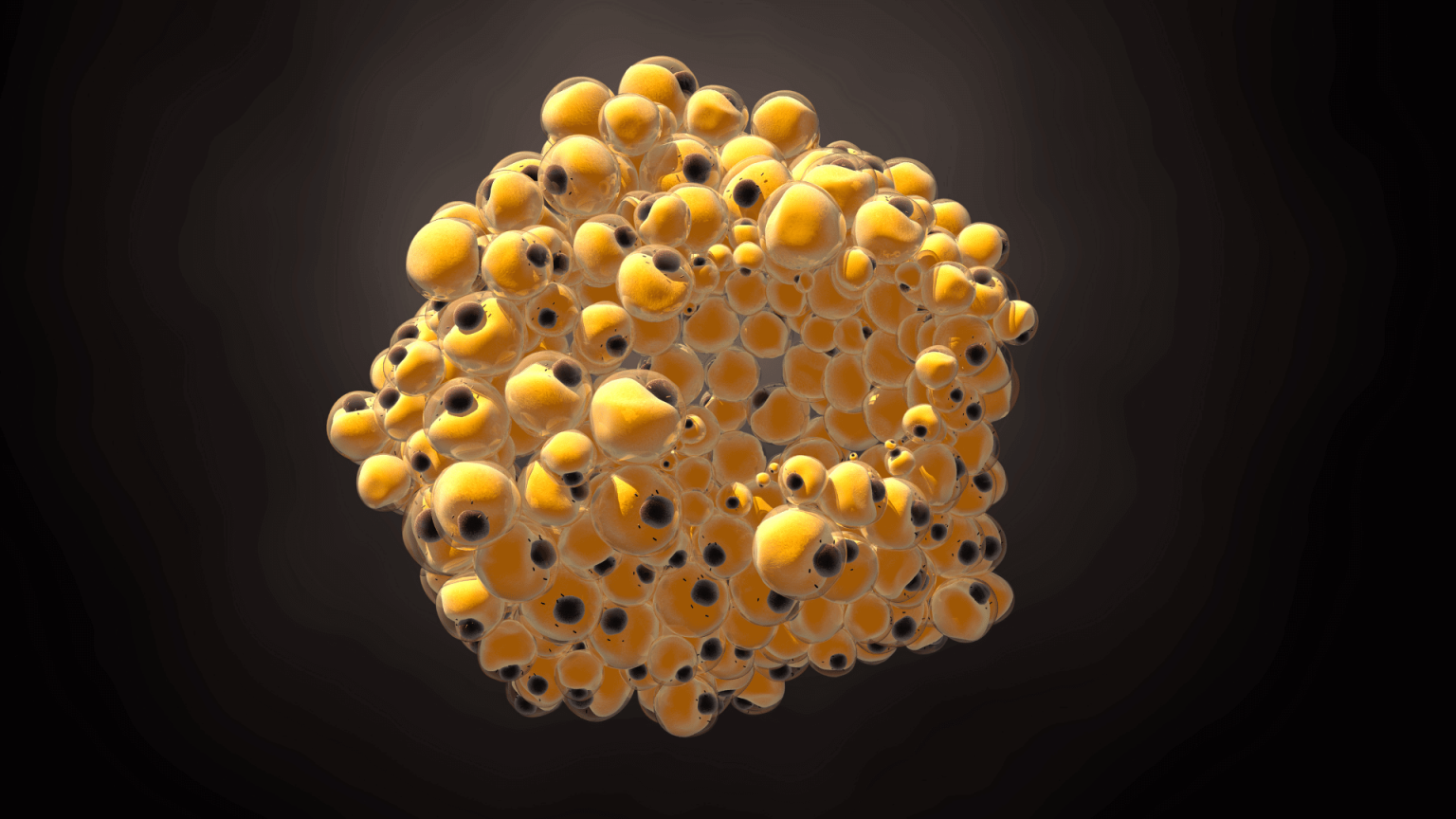 What Are Fat Genes And How To Lose Genetic Fat BIOptimizers Blog what-are-fat-genes-and-how-to-lose-genetic-fat-bioptimizers-blog