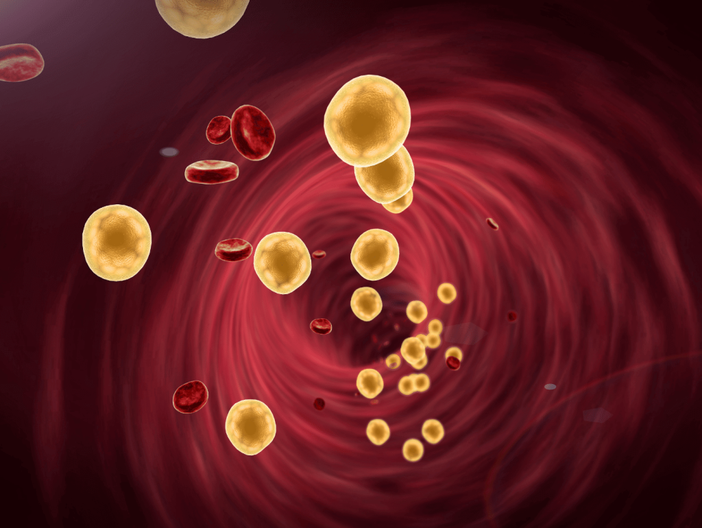 cholesterol in the blood system