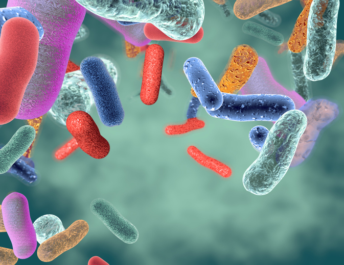 Gut healthy bacteria 3d illustration.