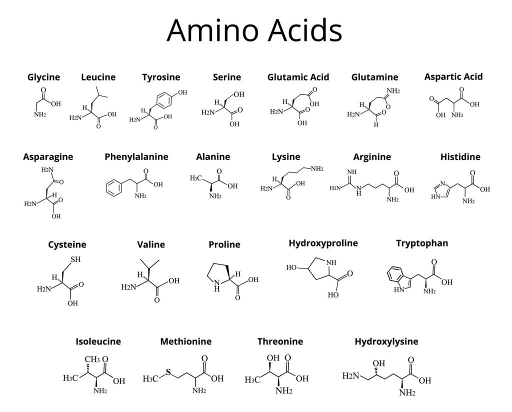 amino acids chem formula