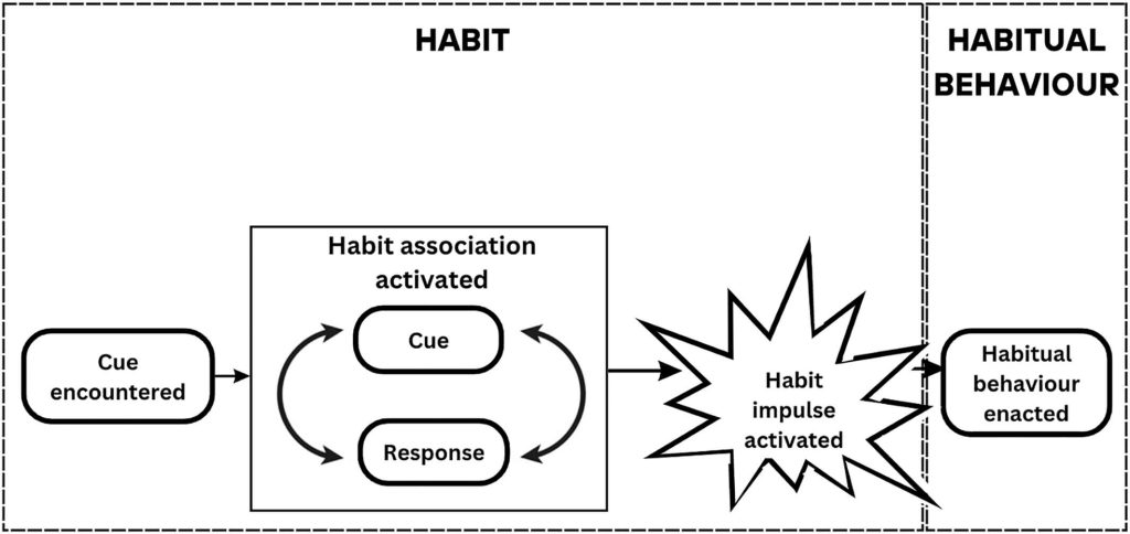 habit formation diagram