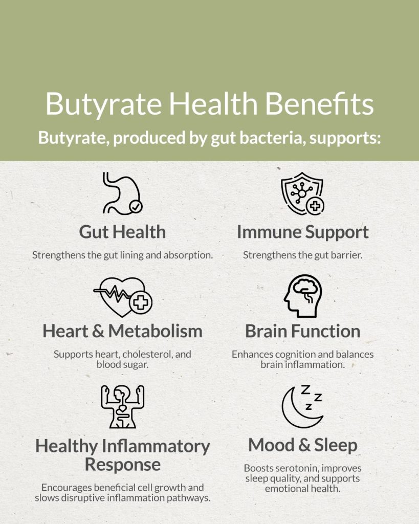 Infographic listing the health benefits of butyrate