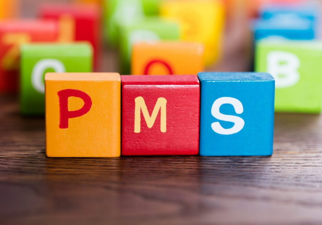 PMS Word Made With Colorful Blocks On Table