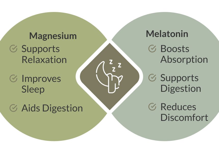 MassZymes_Magnesium_Sleep_Blog Image_A_Op2 MassZymes_Magnesium_Sleep_Blog Image_A_Op2