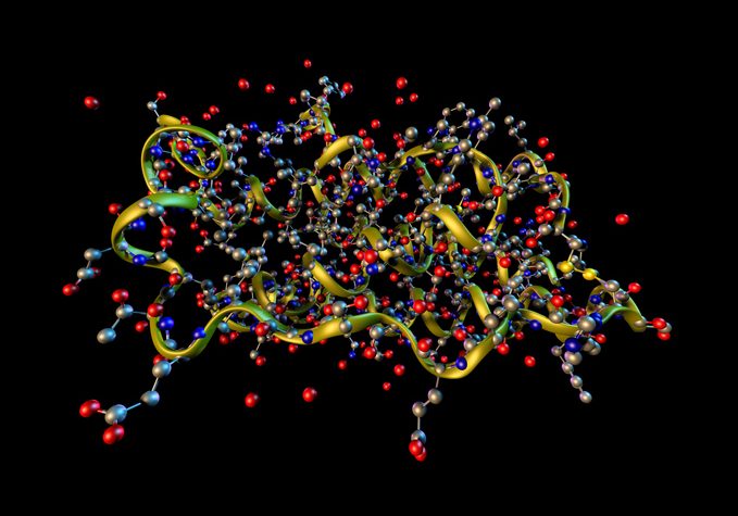 A ribbons + ball-and-stick model of a molecule of Human Leptin, a hormone produced by body fat. Normally, the amount of leptin in the body is proportional to the amount of fat. Leptin reduces appetite and the absence of leptin results in increased food intake and obesity.