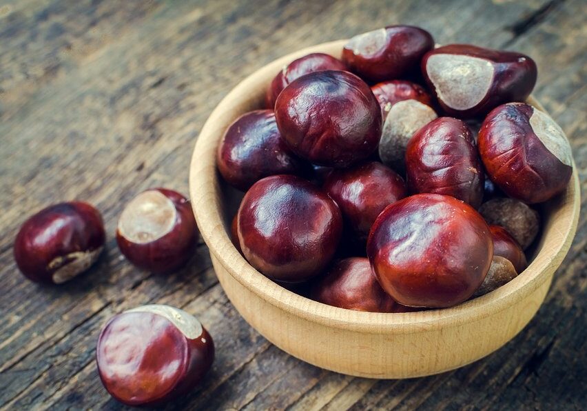 Fresh chestnuts in a bowl on an old wooden table. Group of chestnuts. Chestnuts - fruits horse chestnut - Aesculus hippocastanum. Dark background. Autumn background. Selective focus.