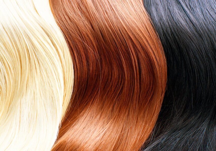Hair Colors Palette. Different Hair colours Hair Texture. Blonde, brown and black hair colours