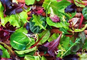 Close up of a variety of salad greens