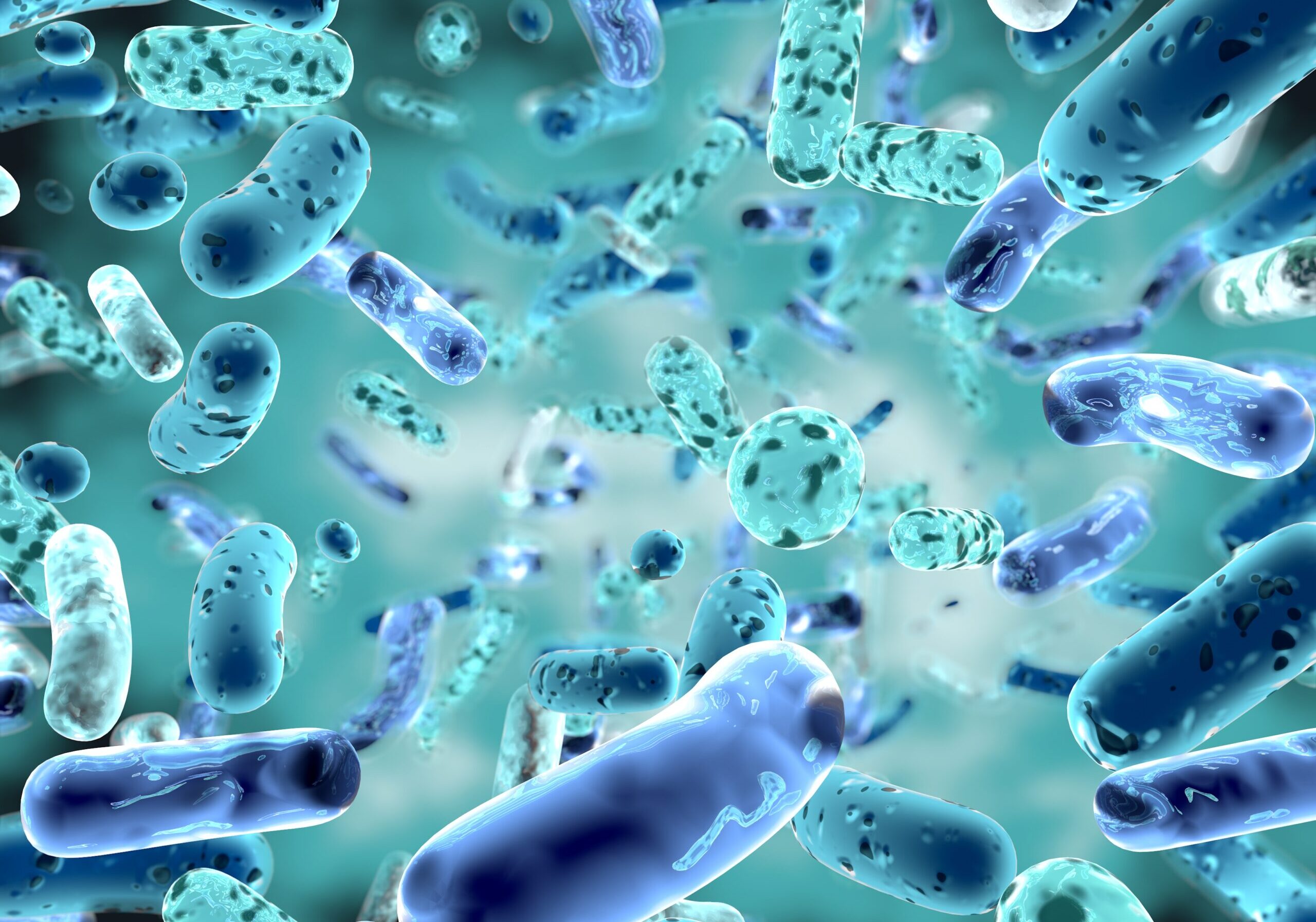probiotics for gut health how