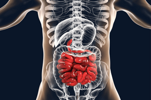 What Is The Gut-Brain-Microbiota Axis?