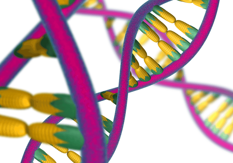 What Are Epigenetics And How To Optimize It Through Nutrition?