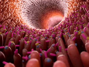 How Does Human Genetics Shape the Gut Flora and Microbiome?