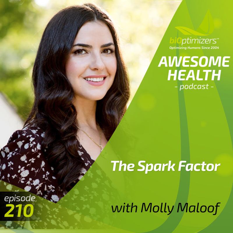 210: The Spark Factor: the secret to supercharging energy, becoming resilient, and feeling better than ever - with Molly Maloof