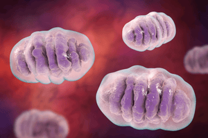 Unlocking The Future Of Weight Loss - Mitochondrial Uncoupling