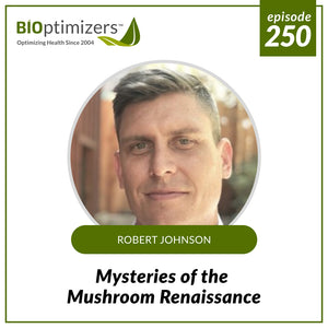 250: Mysteries of the Mushroom Renaissance - with Robert Johnson