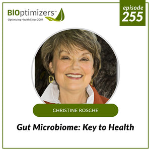 255: Gut Microbiome: Key to Health - with Christine Rosche