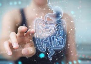 How to Digest Food Faster and How the Digestive System Works