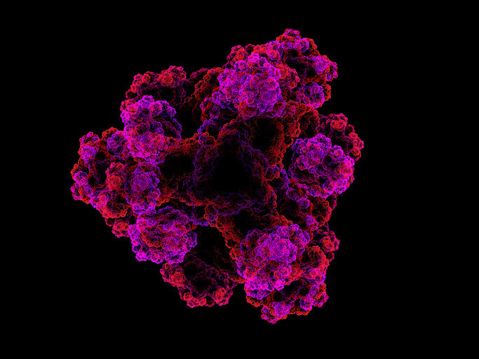 Zonulin