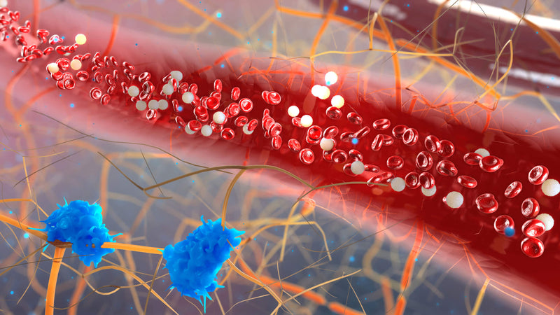 8 Tips For Optimizing Your Blood Sugar Levels