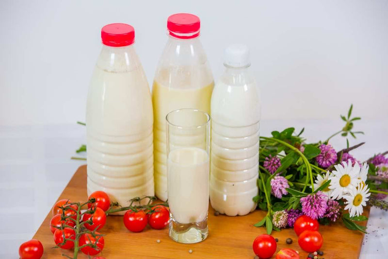 Goat Milk vs Cow Milk: What Are the Benefits?