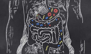 The Surprising Benefits of A Digestive Cleanse
