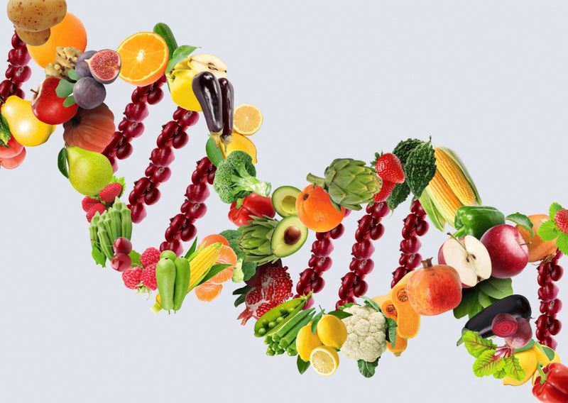 Nutrigenomics and How to Personalize Your Nutrition