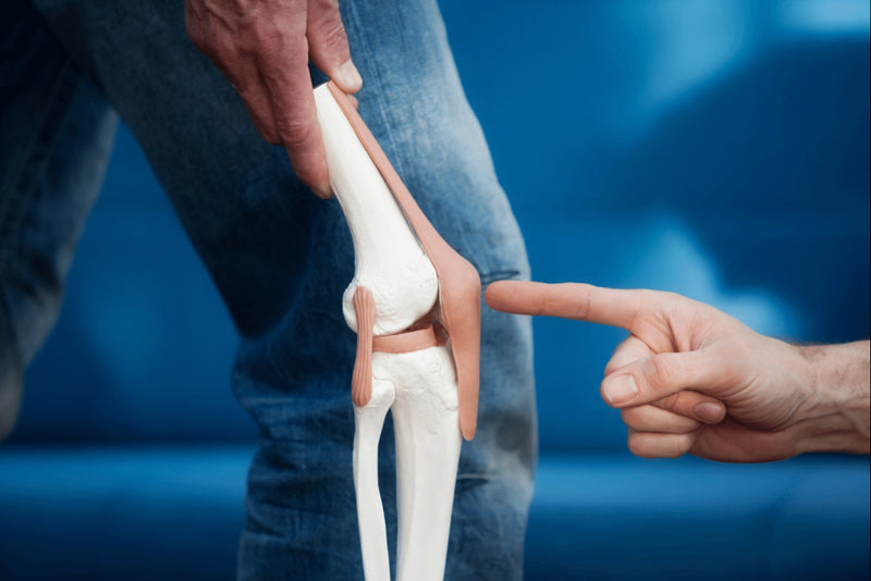 Nutrition for Optimal Connective Tissue Health: Joints, Tendons, Ligaments, and Bones