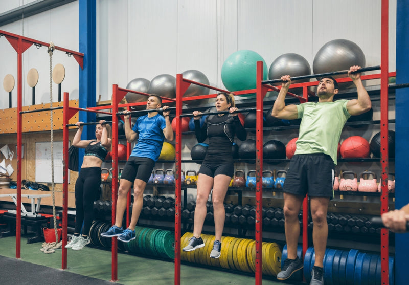 Metabolic Adaptation and Starvation Survival Response