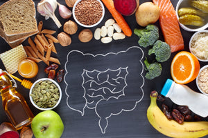 Why are enzymes important to digestion?