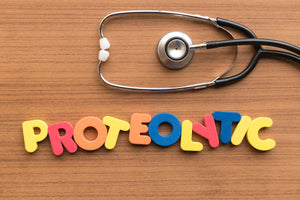 What Are Proteolytic Enzymes and What Do They Do?