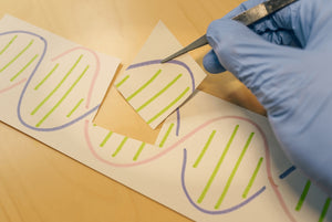 Scientific Background and Glossary On Genetics and Nutrigenomics