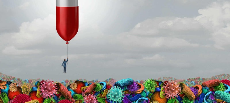 best probiotic for bloating