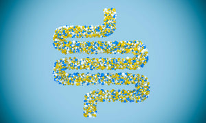 Lactobacillus Probiotic
